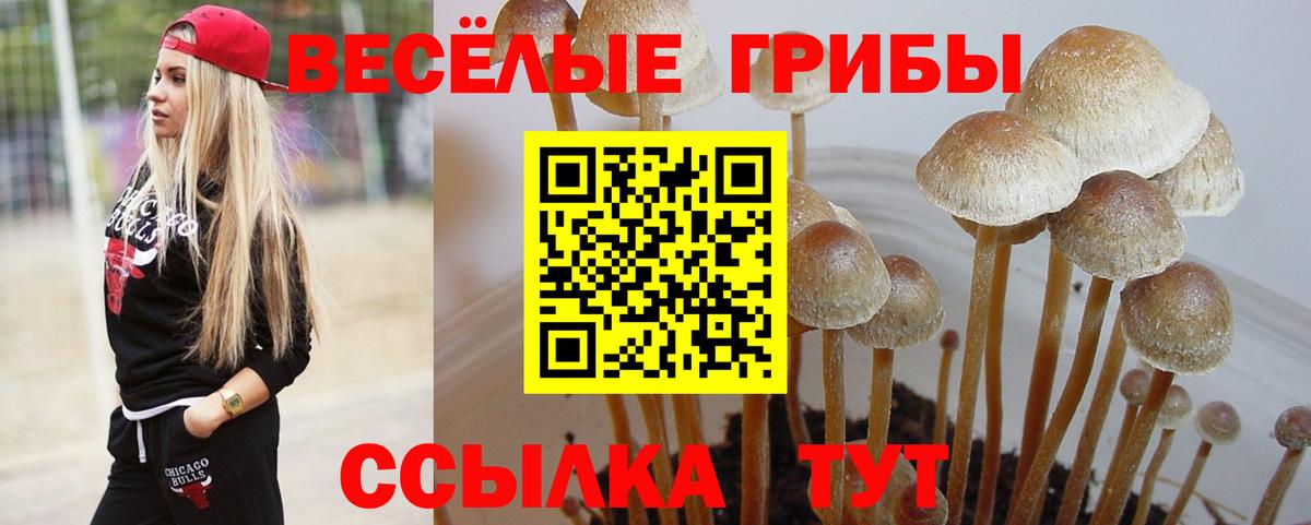 Псилоцибиновые грибы Magic Shrooms  Вход с VPN  Сатка 