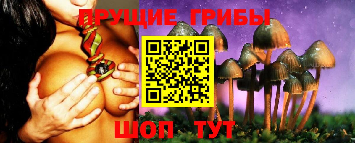 Галлюциногенные грибы GOLDEN TEACHER Сатка